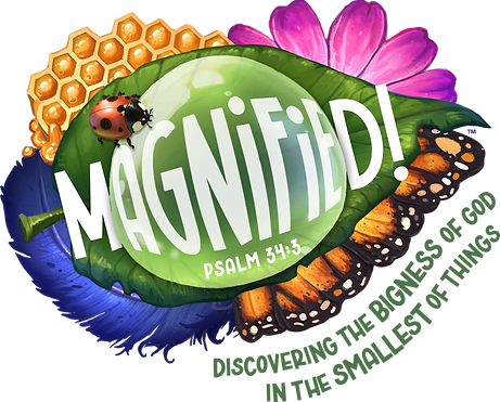 VBS 2025 - What Can We Magnify Together?